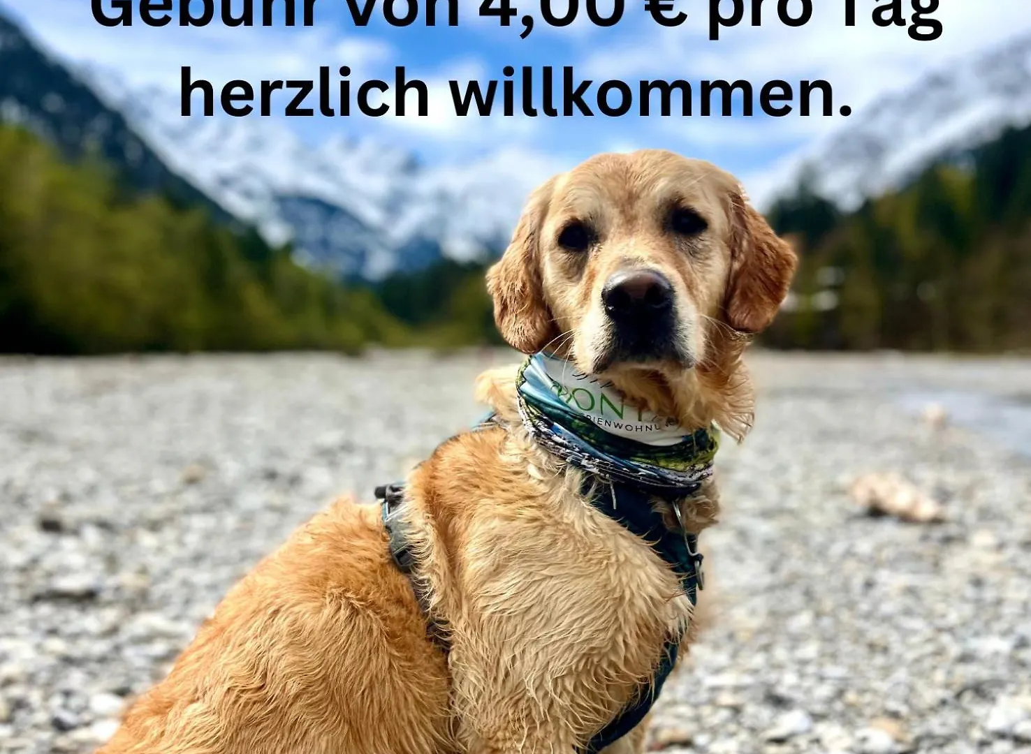 Alpenfieber Apartamento Oberstdorf